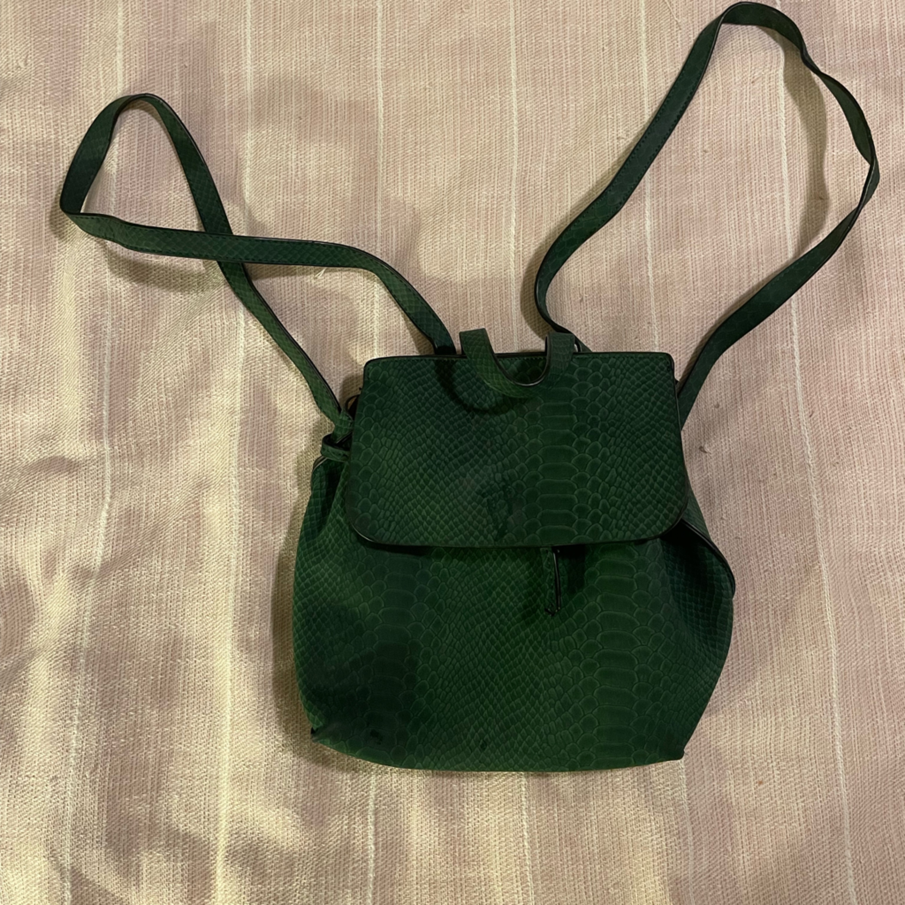 Francesca’s Green Backpack